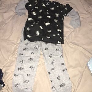 Toddler boy insects sweatpants set